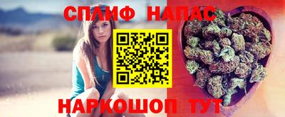 дживик Новодвинск